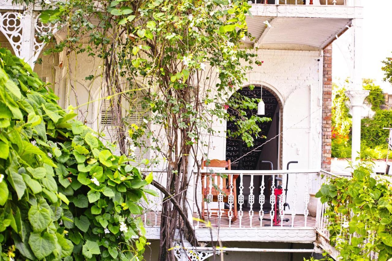 Hotel Florita Jacmel Exterior photo
